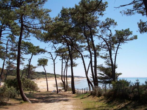 Villa L'Acacias Longeville-sur-Mer Extérieur photo